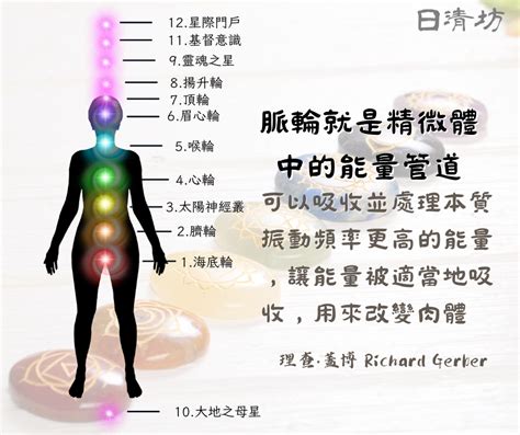 7脈輪|7 大脈輪位置對應｜解析人體脈輪生命力量（內附脈輪清理課程推 